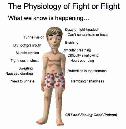 fightorflight2