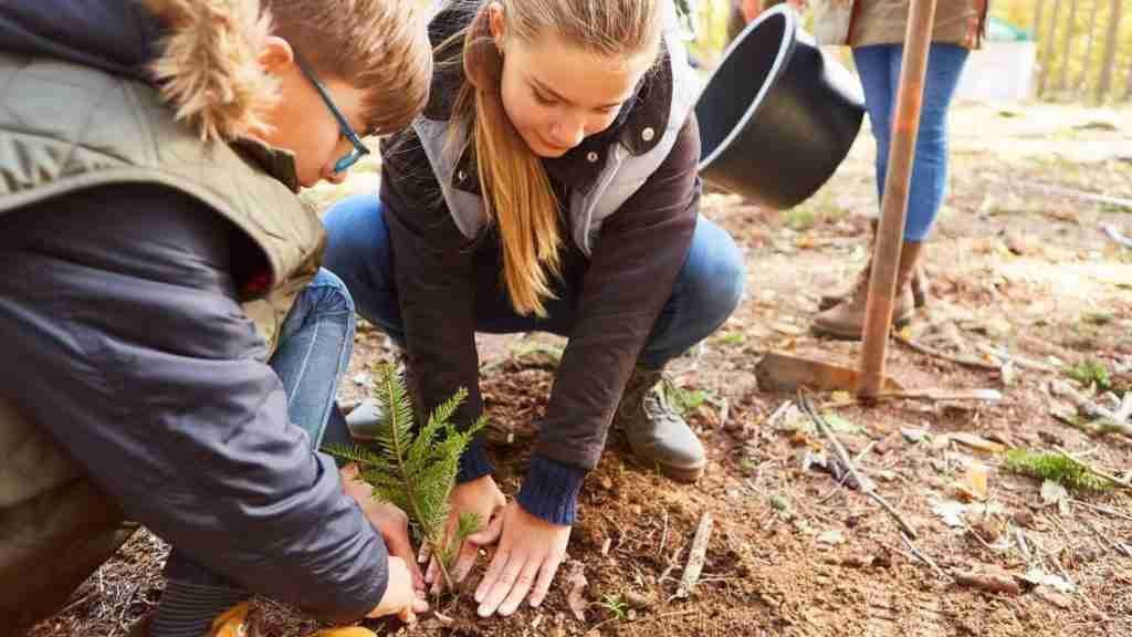 plantingatreeinmemory orig