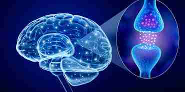 ADHD Couples: Solutions Beyond Traditional Therapy 9 Image of a brain synapse
