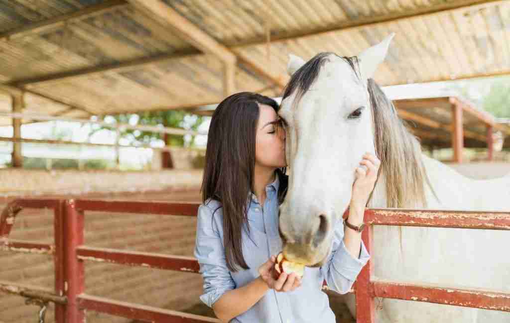 Finding the Right Kind of Horse-Assisted Support: What to Know Before You Book 1 A woman in a blue shirt kisses the forehead of a white horse while holding an apple, standing together in an outdoor stable with a metal roof—a peaceful moment reflecting the bond found in horse therapy.